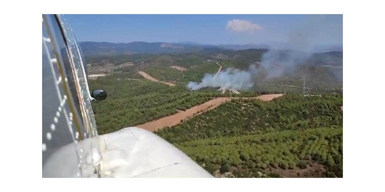 İzmir’de orman yangını