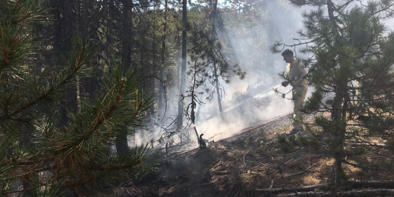Orman yangınına erken müdahale felaketi önledi