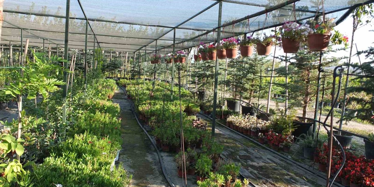 Emekli bankacı 500 çeşit bitki yetiştirdi