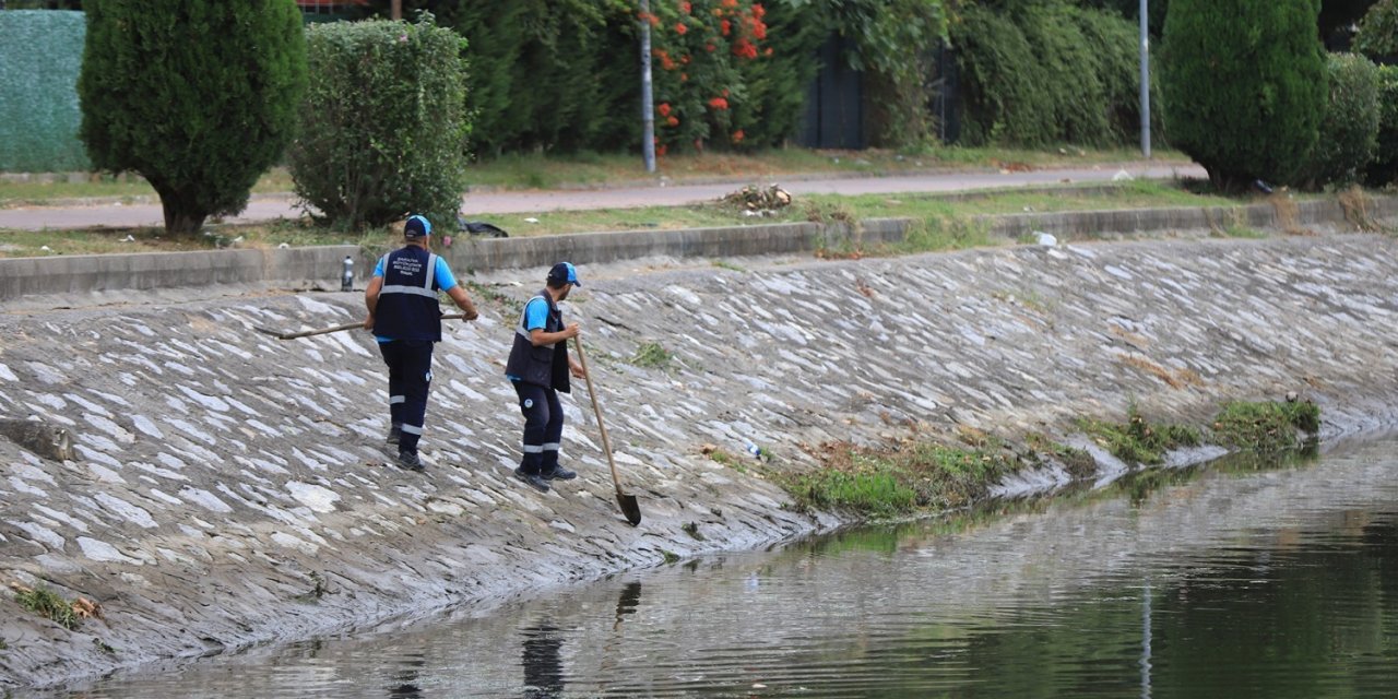 Çark Deresi ve çevresi temizlendi