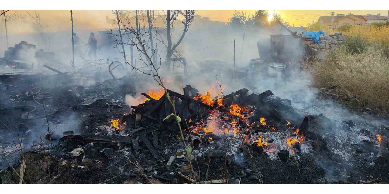 Yangında 6 köpek telef oldu