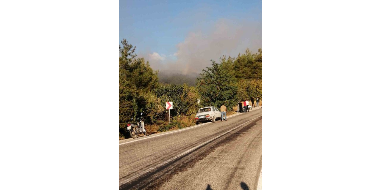 Tokat’taki orman yangını ekipleri harekete geçirdi