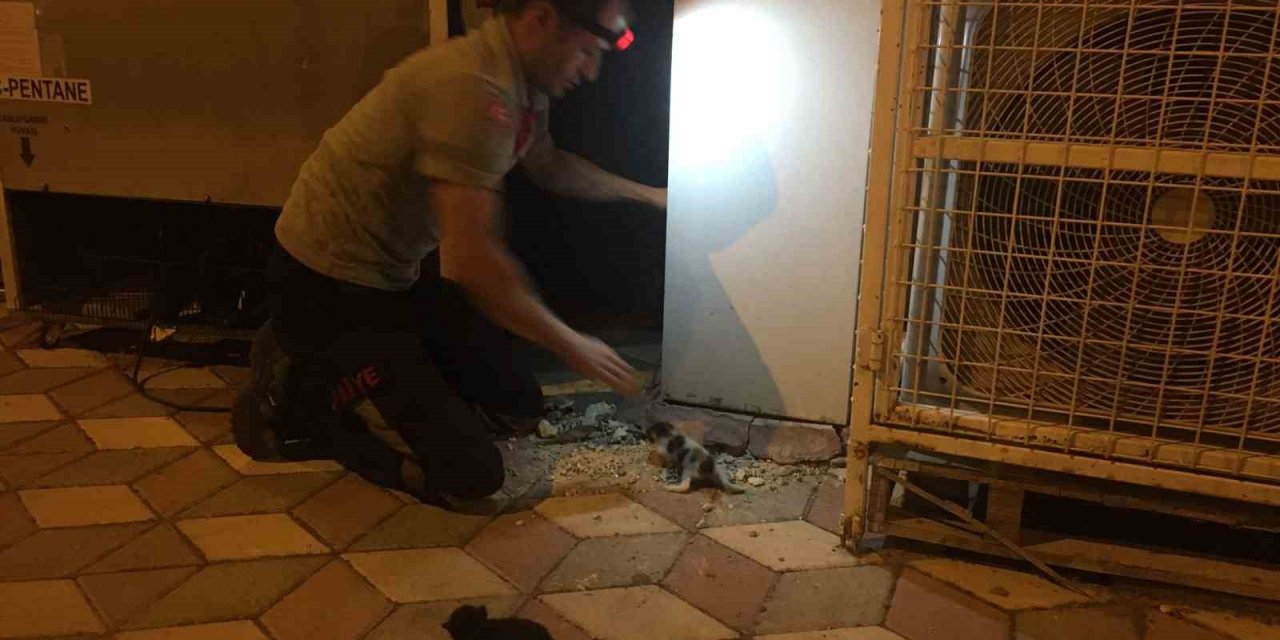 Burdur’da binanın dış cephe kaplamasının içine sıkışan kediler itfaiye tarafından kurtarıldı