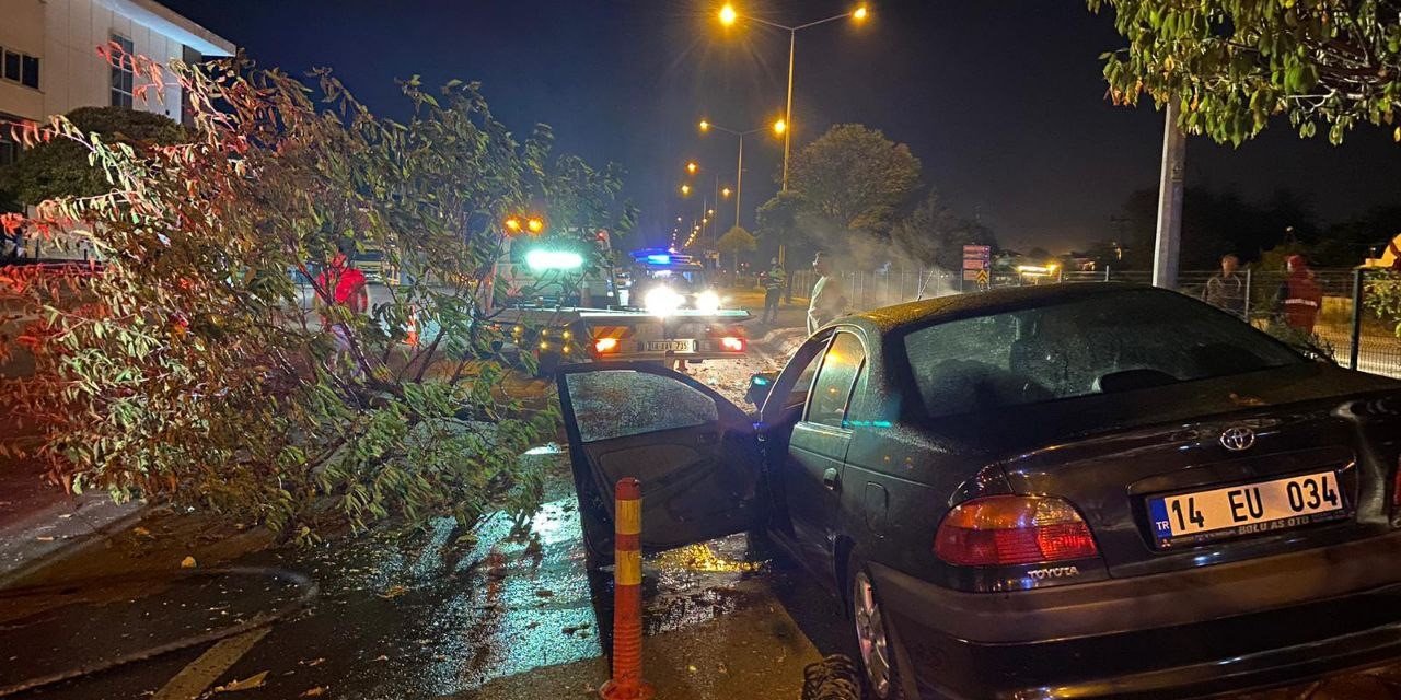 Aracıyla çarptığı orta refüjdeki ağacı gövdesinden kırdı: 1 yaralı
