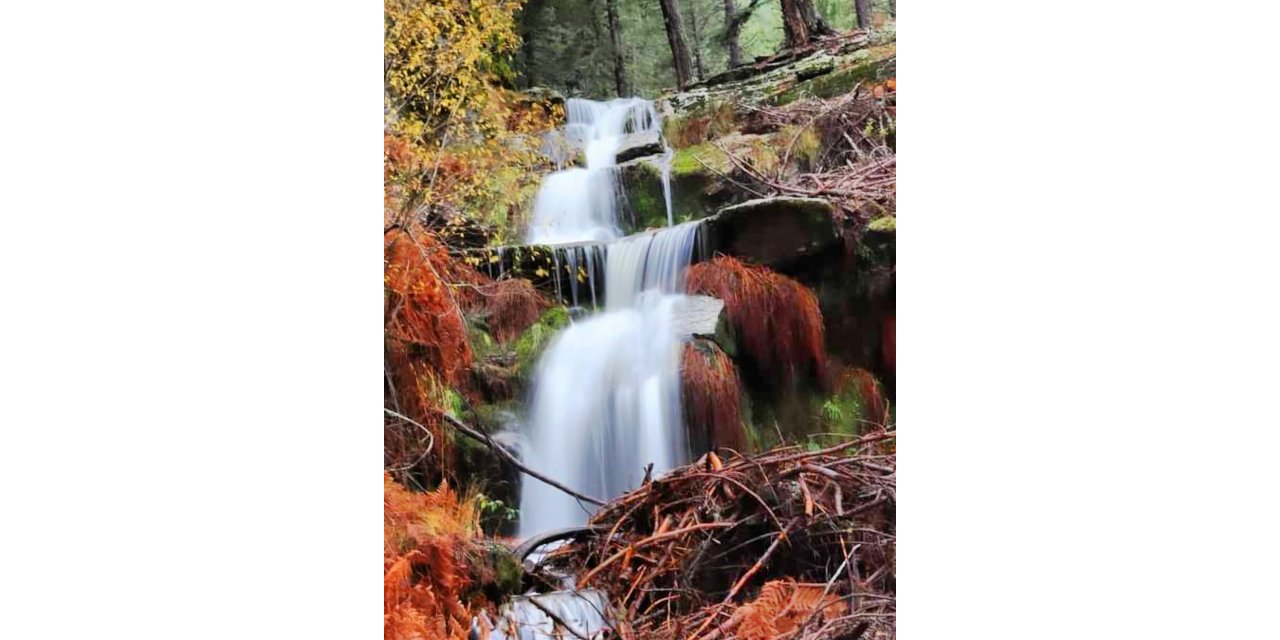 Kimi sesine kimi de görüntüsüne hayran kalıyor