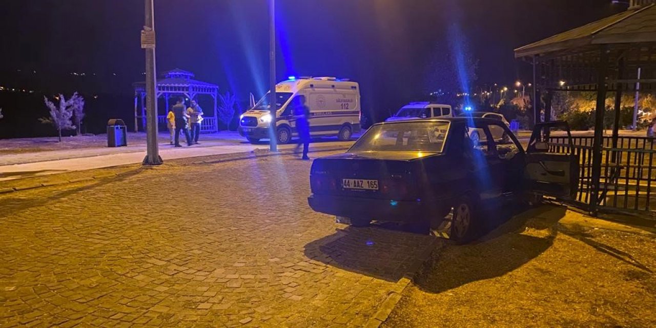 Otomobil kamelyaya çarptı