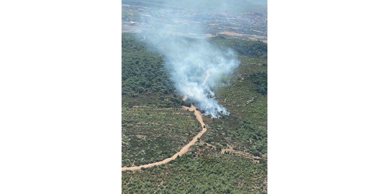 Foça’daki orman yangını kontrol altında