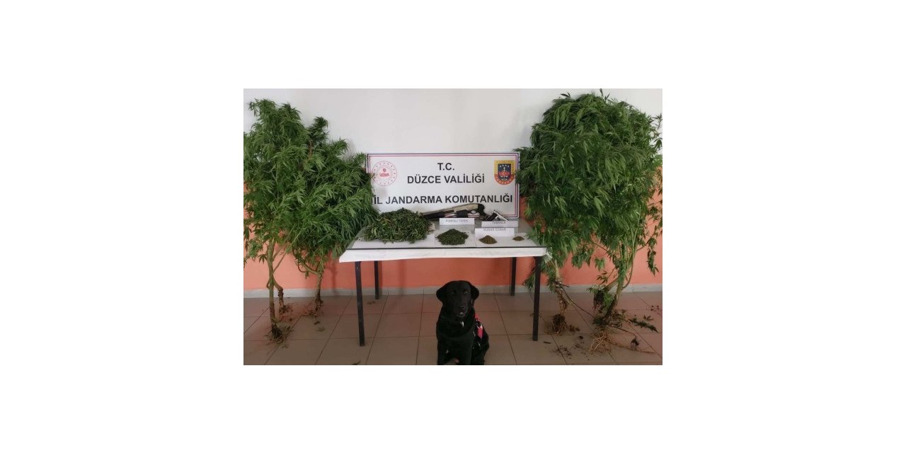 Uyuşturucu imal edilen eve jandarma operasyonu