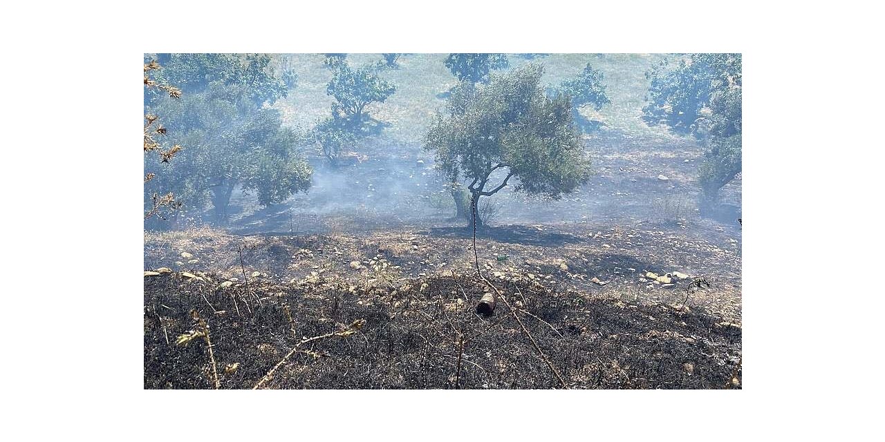 Köşk’teki yangında 1 dönüm arazi zarar gördü