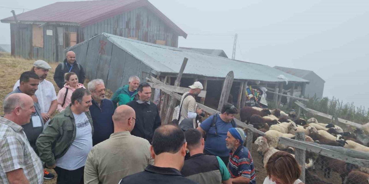 Uluslararası çalıştay dağlık alanlardaki arazi gezisiyle sona erdi