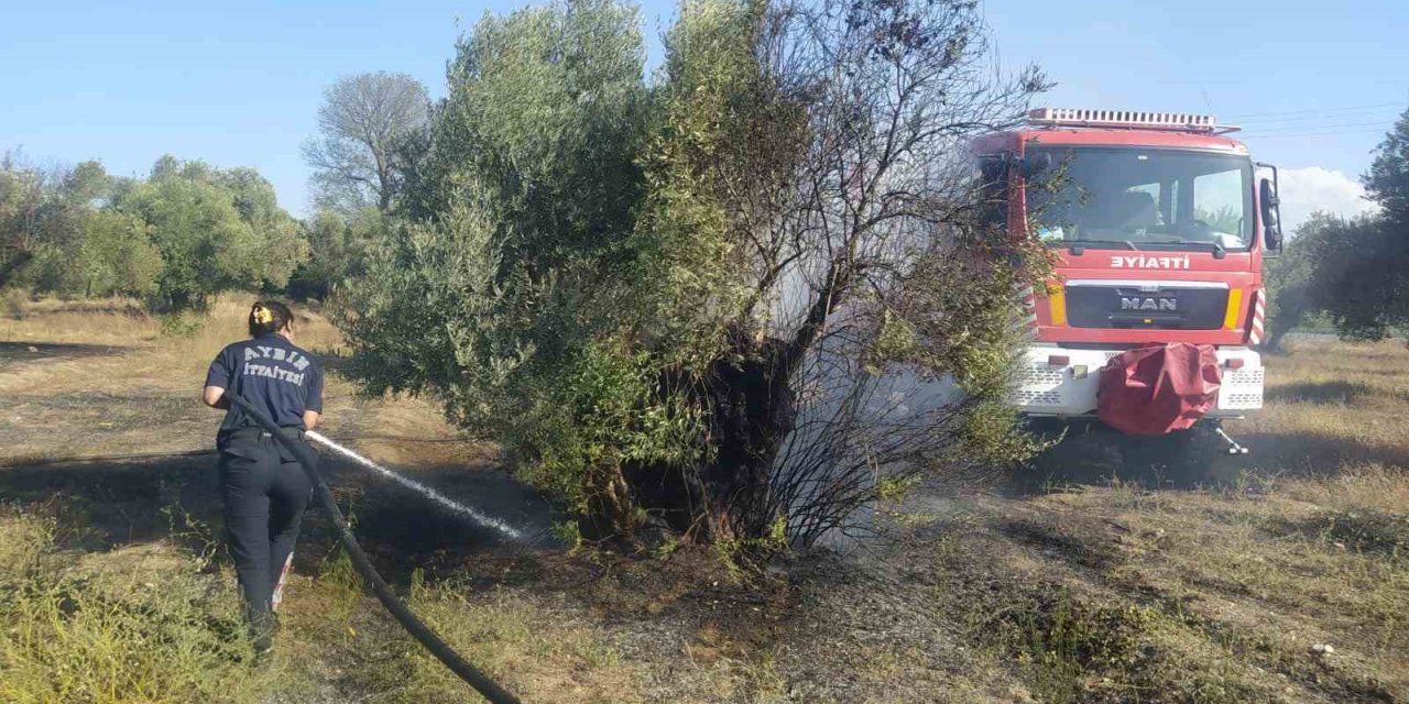 Aydın Büyükşehir İtfaiyesi’nden Umurlu’daki yangına hızlı müdahale