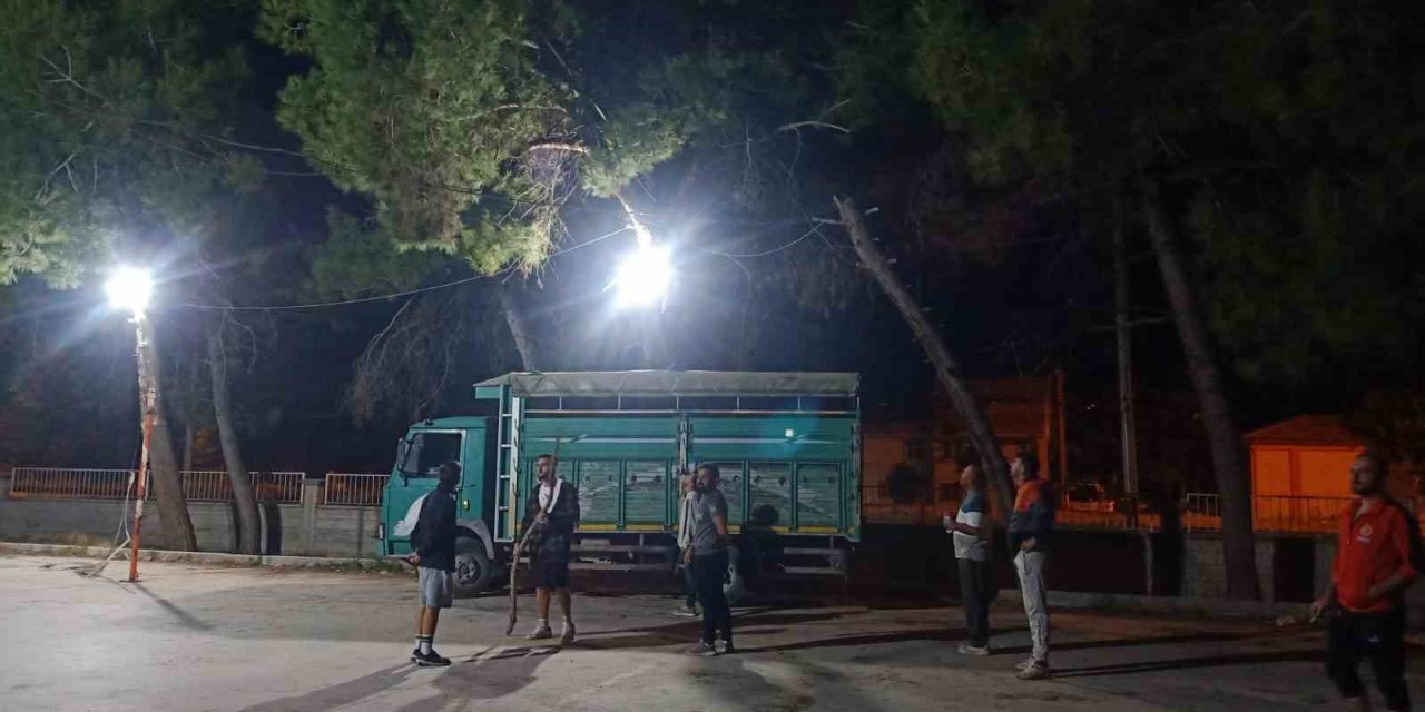 Topu almak isterken ağaçta mahsur kaldı