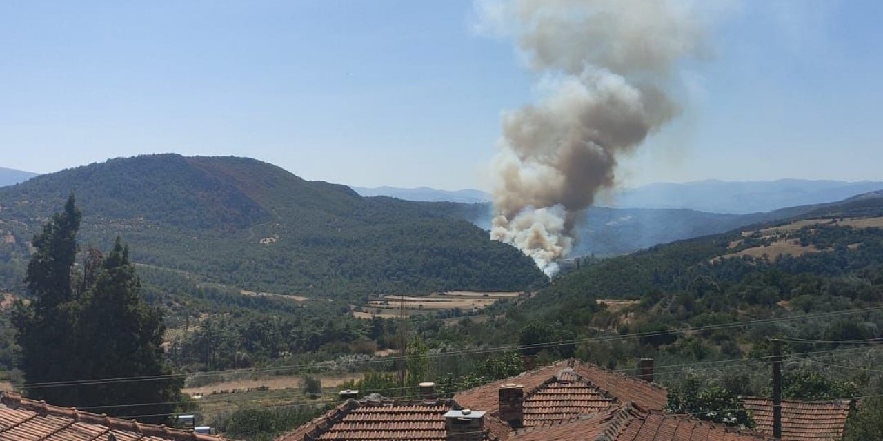 Soma’da orman yangını
