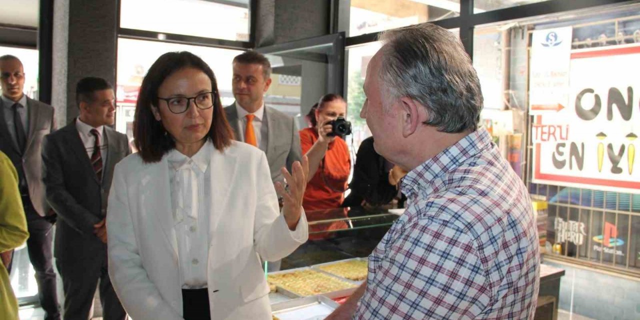 Vali Kaya, okul çevrelerinde kuş uçurtmayacak