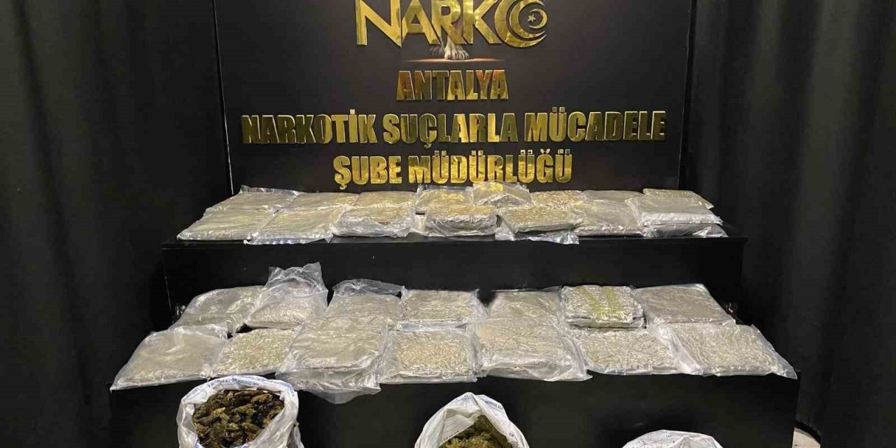Narkotik polisinden 1 ayda 677 operasyon