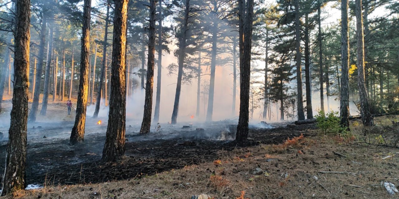 Ayvacık’ta orman yangını