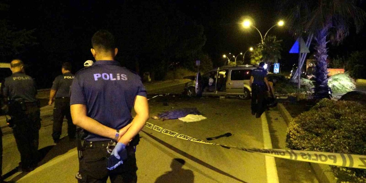 Hafif ticari araç palmiye ağacına ve aydınlatma direğine çarptı: 2 ölü