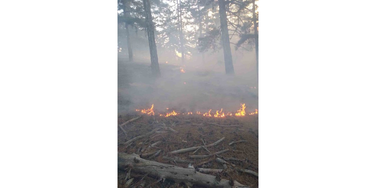 Feke de orman yangını