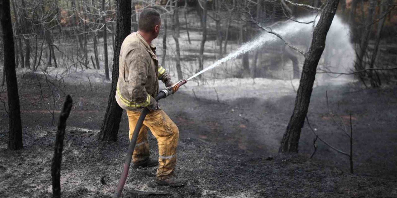 Yanan ormanda bilanço dron ile çıkarılıyor, 25 hektar yeniden ağaçlandırılacak
