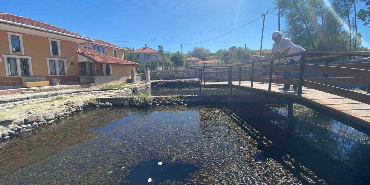 Binlerce asker balığının salındığı göl turizme kazandırılacak