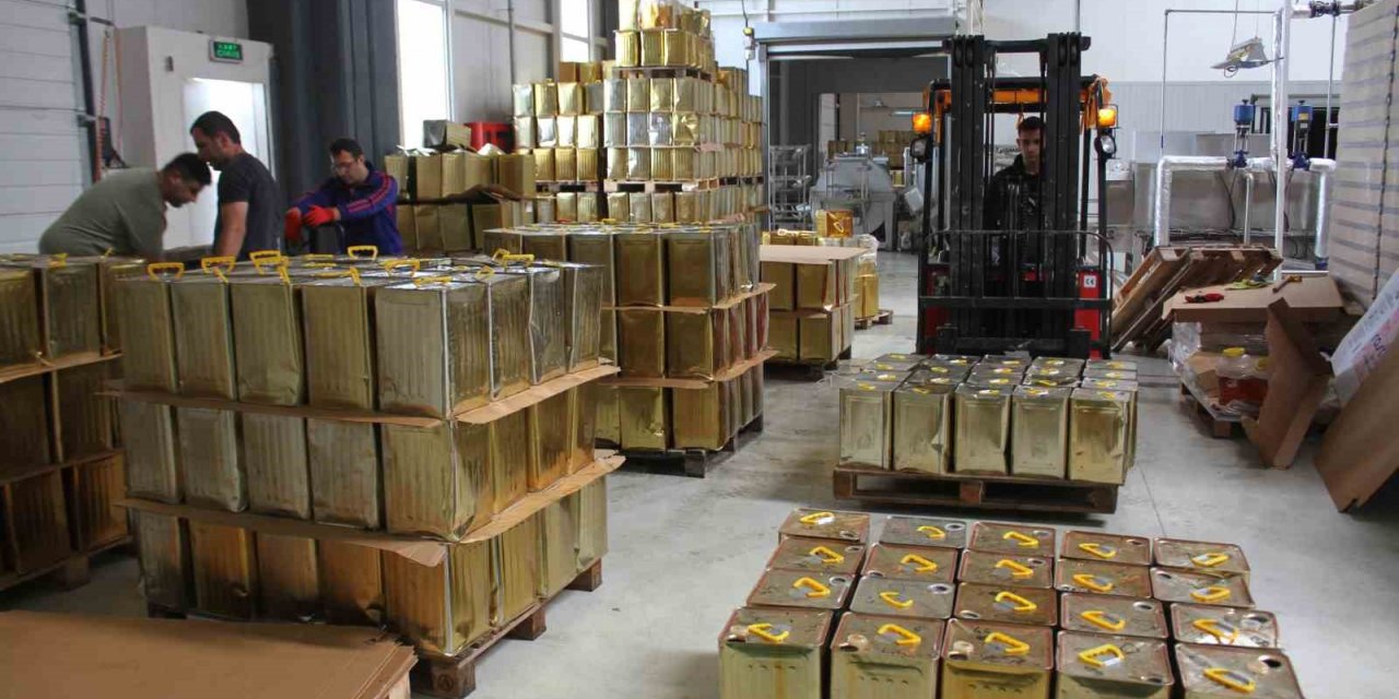 Ordu’dan 55 ülkeye bal ihracatı