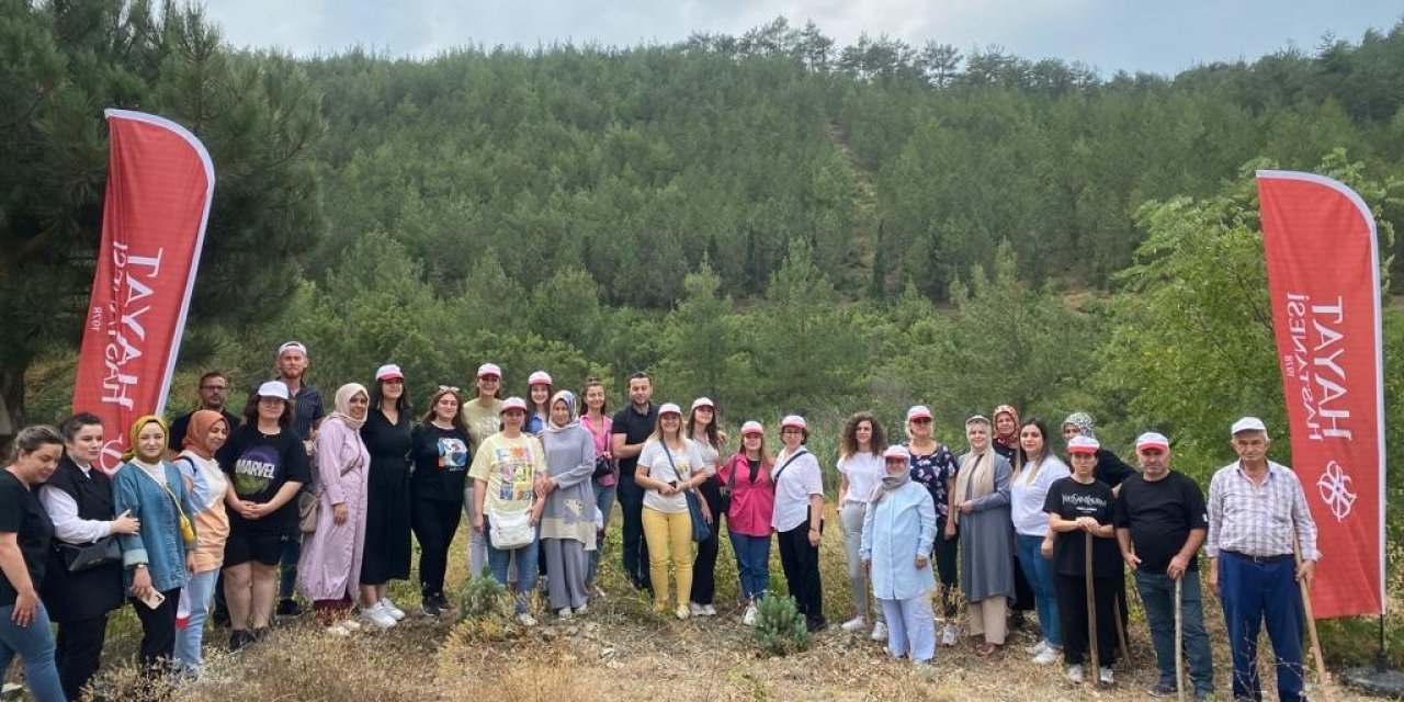 Sağlık çalışanları ağaçların da bakımını yaptı