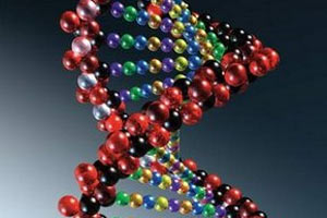 Kanseri yayan gen sonunda bulundu