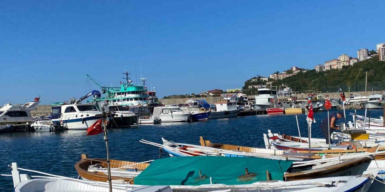 Kayhan, "Halkımız 15 Ekim’den sonra balığı daha ucuz yiyecek"