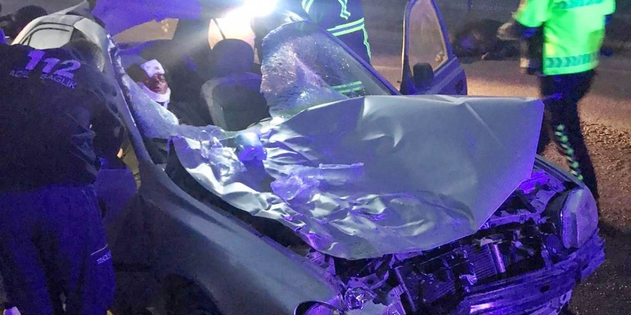 Otomobil büyükbaş hayvanlara çarptı: 2 yaralı