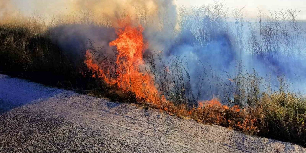 Beyşehir ve Hüyük’te çıkan anız yangınları tedirgin ediyor
