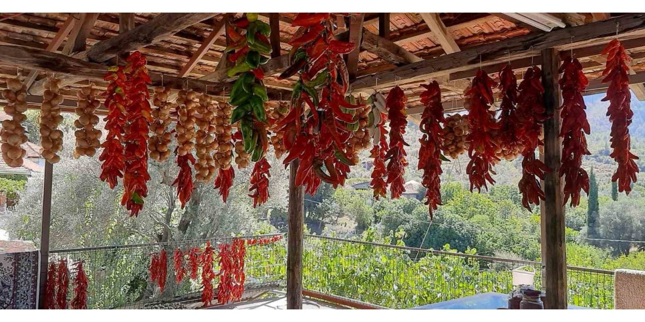 Muğla’da kış hazırlığı renkli görüntüler oluşturdu