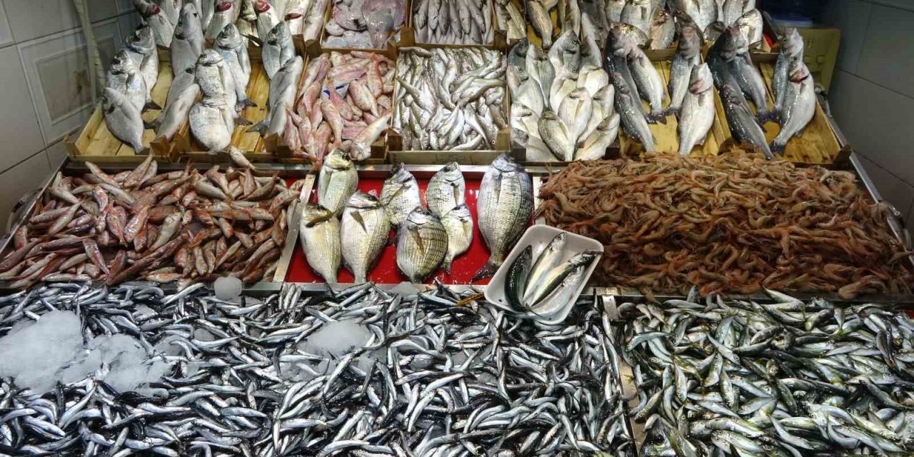 Çanakkale’de av yasağının sona ermesiyle balık tezgahları şenlendi