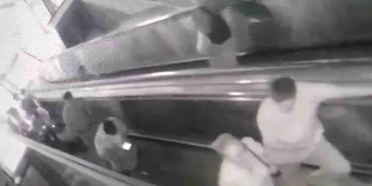 Yürüyen merdivenleri keyfi olarak durdurdular