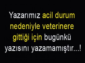 Yazarımız acil veterinere gittiği için...!