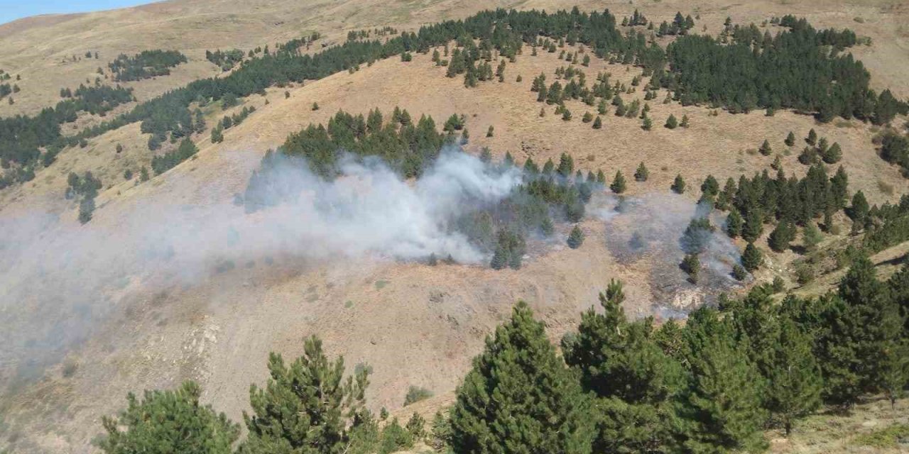 Isparta’da çıkan orman yangını kontrol altına alındı