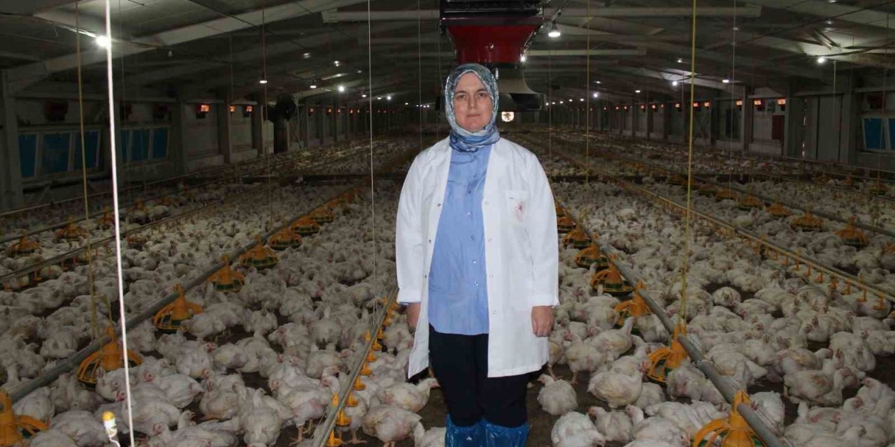 Devletten aldığı destekle üretim yapıyor