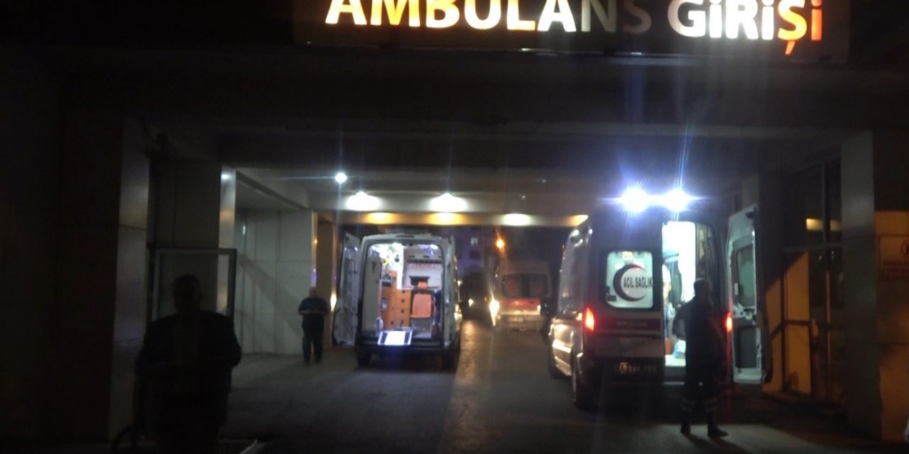 Armut toplarken ağaçtan düşen şahıs yaralandı