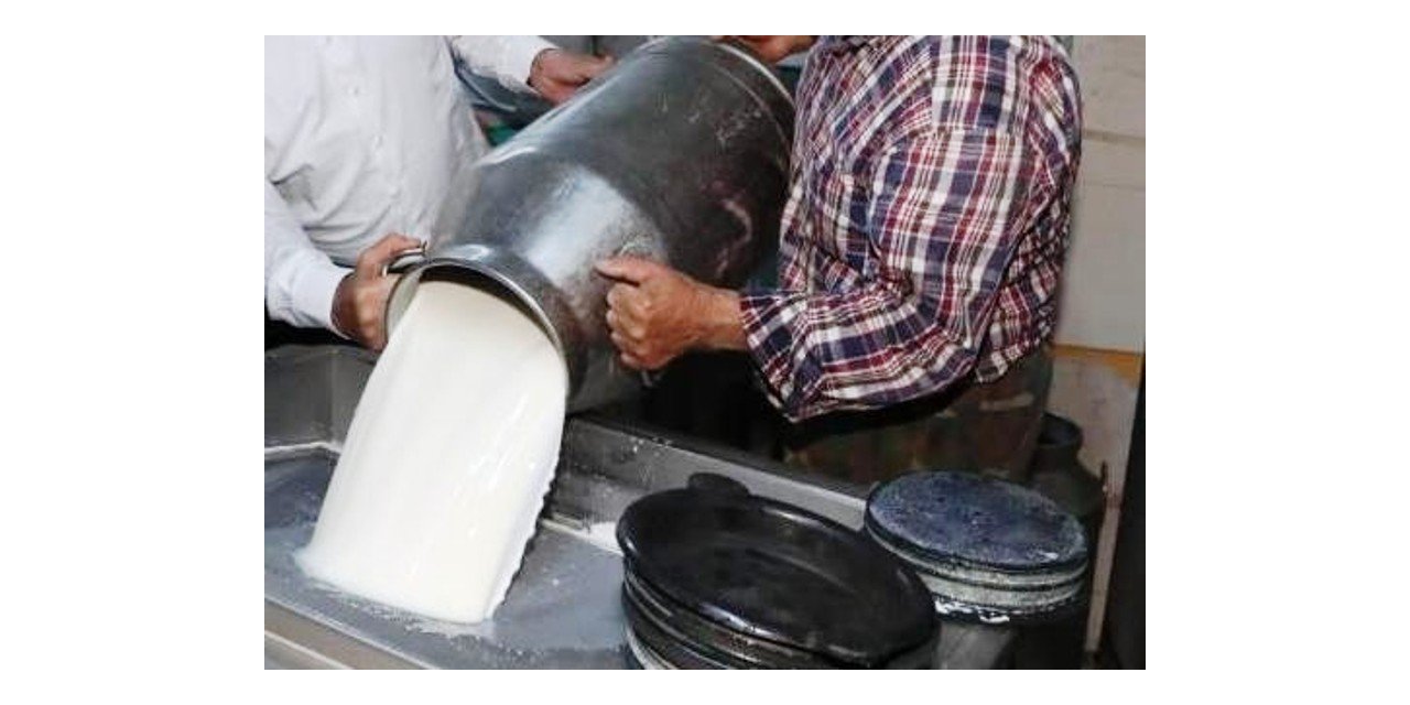 Ticari süt işletmelerince 835 bin 773 ton inek sütü toplandı