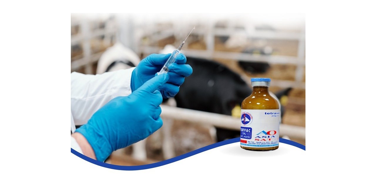 Üreticilere şap aşısı uyarısı