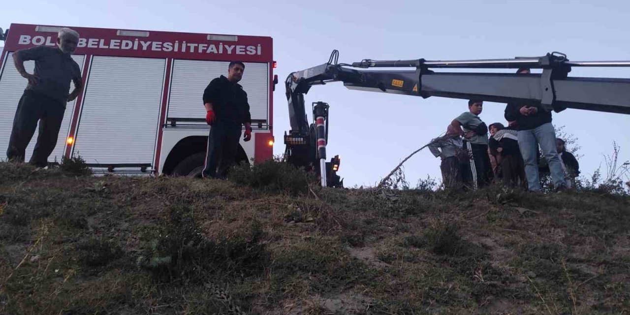Derede mahsur kalan inek, vinç yardımıyla kurtarıldı