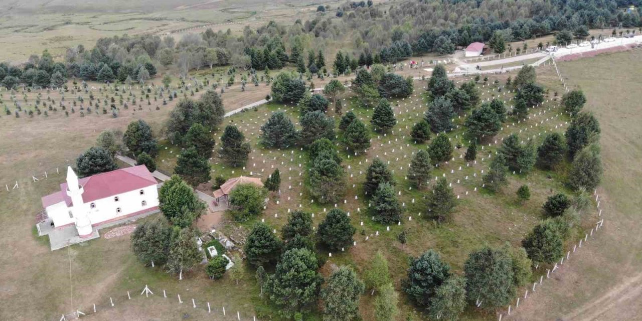 Danişment Gazi şehitliğine ziyaretçi akını