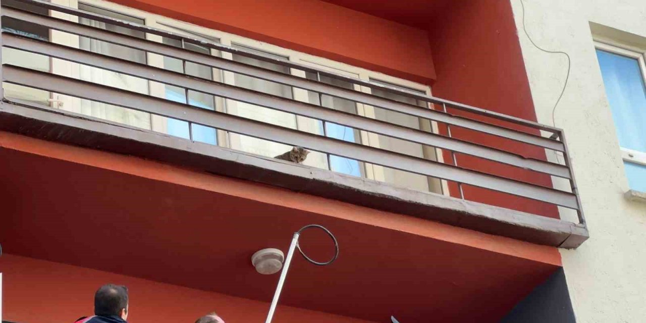 Bilecik’te bir evin balkonundan mahsur kalan kediyi itfaiye ekibi kurtardı