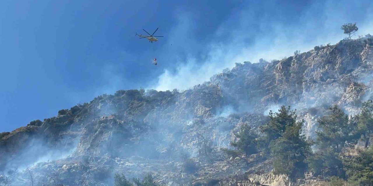 Söke’de makilik alan yangını korkuttu