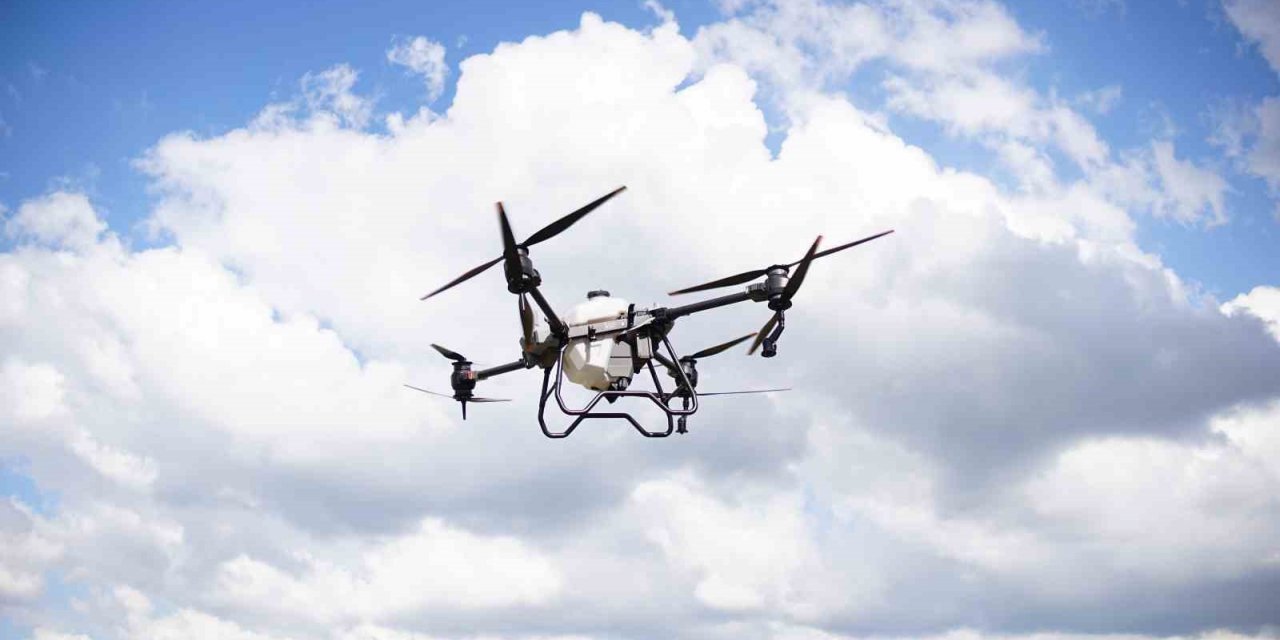 Çarşamba Ovası’nda ulaşımı zor tarım alanları dronla ilaçlanacak