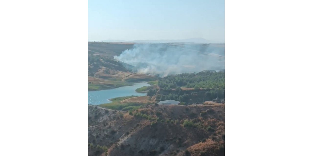Anız yangını ağaçlık alana sıçradı