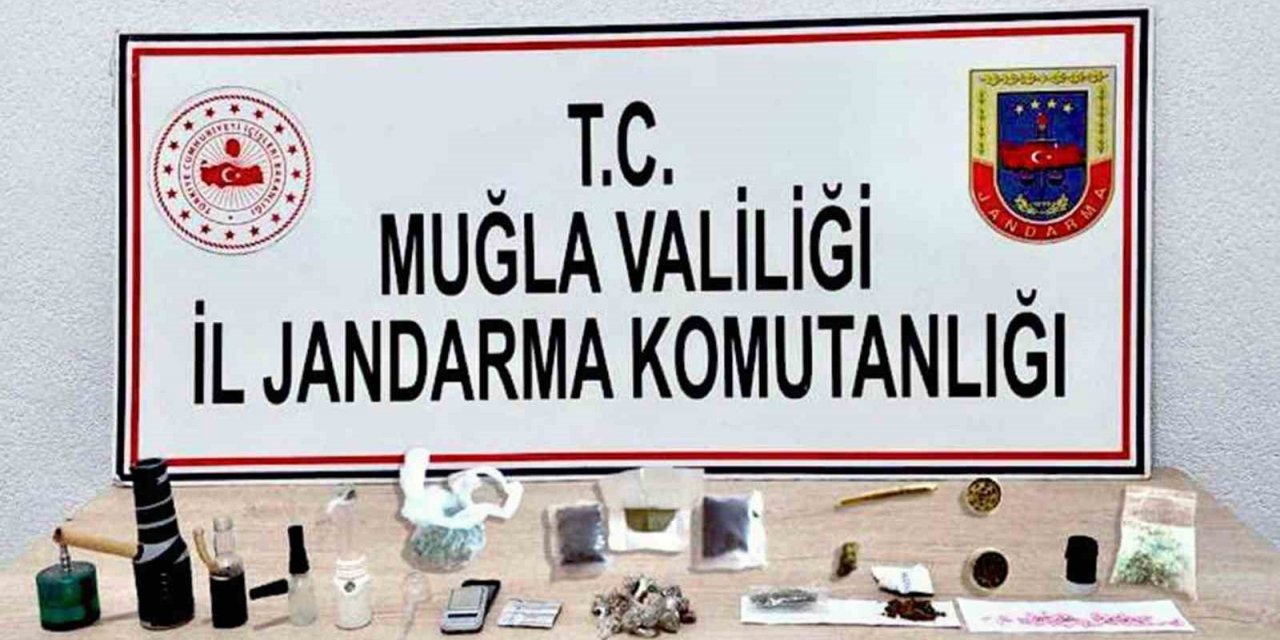 5 ilçede uyuşturucu operasyonu