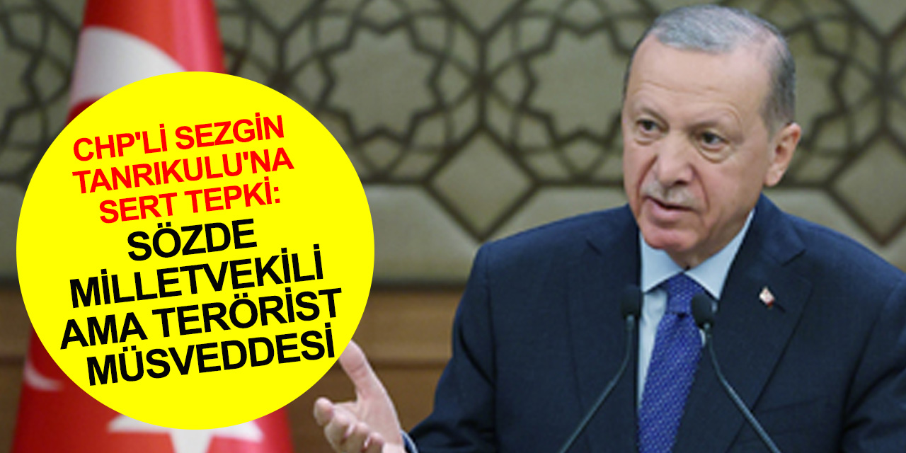Cumhurbaşkanı Erdoğan'dan CHP'li Tanrıkulu'na sert tepki: Sözde milletvekili ama terörist müsveddesi