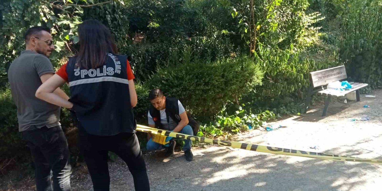 Parkta buluştuğu eski eşini tabancayla öldürdü