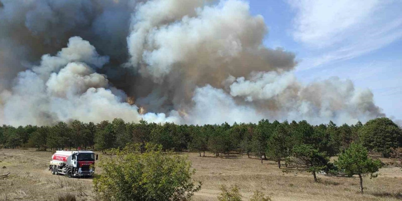 Tekirdağ’da orman yangını