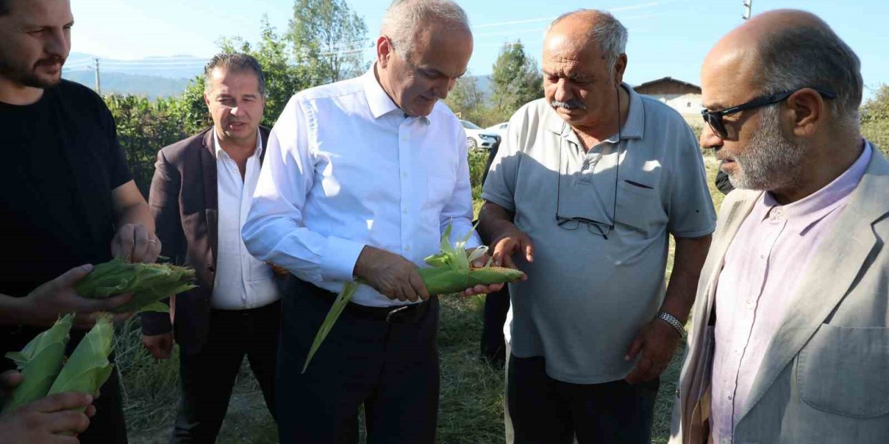Başkan Özlü “Gelecek yıl 30 dönüm alanda çeltik yetiştireceğiz”